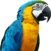 Colorful Parrotlets